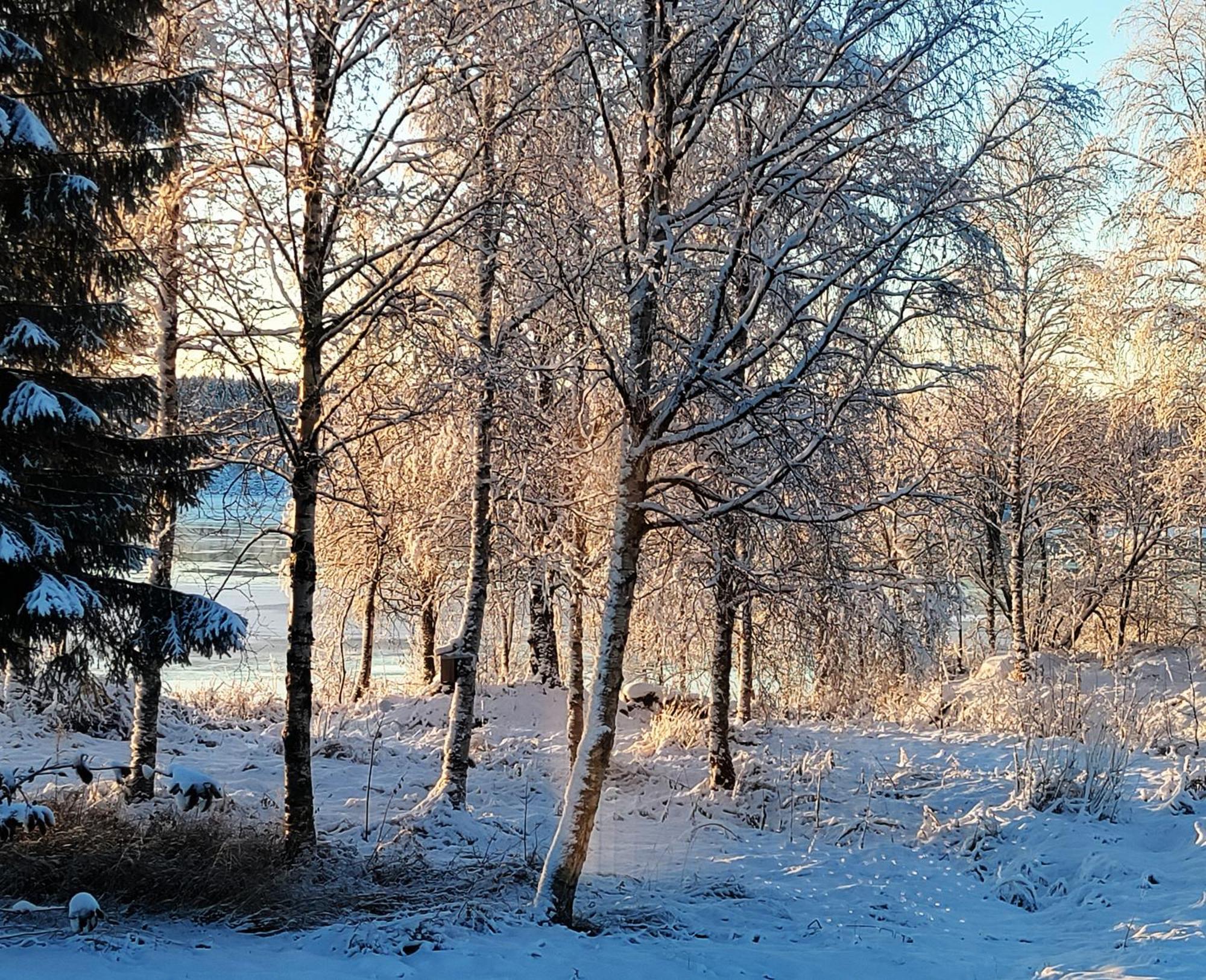 Villa Puistola & Sauna, Near Santa'S Village Rovaniemi Exterior photo